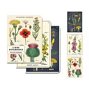 美國 Cavallini 口袋筆記本3入組 _野花們