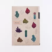 【日本Green Flash】STUDY HOLIC知識狂熱 雙層資料夾A5 ‧ 礦物學