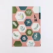 【日本Green Flash】STUDY HOLIC知識狂熱 雙層資料夾A5 ‧ 微生物學