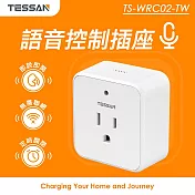 TESSAN 語音控制插座