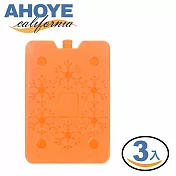 【AHOYE】急凍可循環使用保冰盒 3入組 (保冰磚 保冰劑 保冷劑 冰晶盒) 活力橘