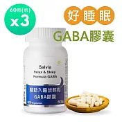 【SALVIA】Salvia幫助入睡放輕鬆GABA膠囊 (純素)3瓶共180顆