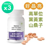 【SALVIA】Salvia高單位複方葉黃素山桑子錠 3瓶共180顆