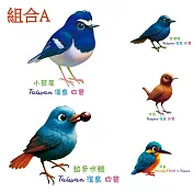 EzBird賞鳥趣--旅行專用 3M 防水防曬超黏鳥貼紙(台灣製)--三組任選 無 組合A