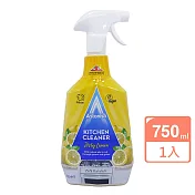 英國ASTONISH廚房清潔劑750ml(檸檬)
