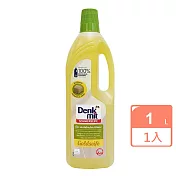 德國DM Denk Mit表面清潔金黃液體皂1L