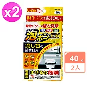 日本紀陽排水孔清潔粉40g x2組