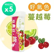 【SALVIA】Salvia 蔓越莓+鐵好氣色發泡錠5瓶共50錠