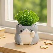 【日本Green House】招福貓咪 裝飾小盆栽 ‧ 虎斑貓