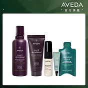 AVEDA 煥欣蓬髮旅行組（贈品最短效期至2026/12/31）
