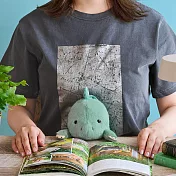 Dreams Posture Pal 坐姿伴偶   第九彈 劍龍