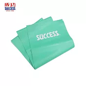 成功 S4759 瑜珈伸展彈力帶