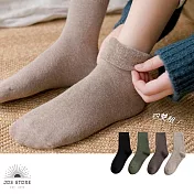 JDS.SOCKS  秋冬保暖毛圈棉襪  * (四雙組)