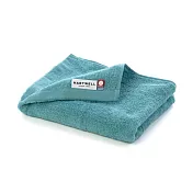 【日本今治Hartwell】SuperDry極速乾 雙層珪藻紗 今治毛巾 ‧ 綠