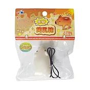 樂彩森林 療癒捏捏樂-光變烤乳豬