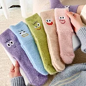 【AnZa】水貂絨保暖睡眠卡夾棉表情襪 (5入組)      圖片色
