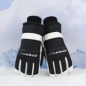 【KISSDIAMOND】韓系防風防水保暖手套(KDG-2321) FREE 黑