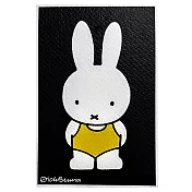韓國 Zero Per Zero Miffy 絹印明信片_ 泳衣米飛