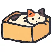 韓國 Zero Per Zero 滑鼠墊_ 三花貓與盒子