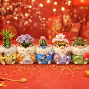 【日本Green House】七福神貓 招福小盆栽 ‧ 昆沙門天