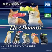 【日本正版授權】全套5款 眼睛射線動物 扭蛋/轉蛋 097157