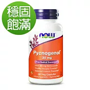NOW健而婷-法國松樹皮萃取菁華(60顆/瓶)