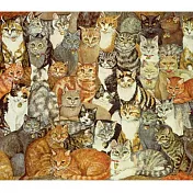 【客製化預購】Cat-Spread 貓咪齊聚