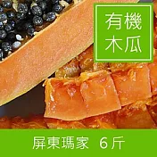 【一籃子】聽歌聲長大的屏東瑪家【有機木瓜】