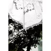 AROMA HOUSE CS20 蕾絲窗紗