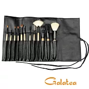 GALATEA葛拉蒂彩顏系列- 12支裝專業刷具組