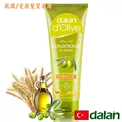 【土耳其dalan】橄欖油小麥蛋白修護護髮素(乾燥/受損髮質)