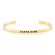 MANTRABAND 美國悄悄話手環 Carpe Diem 把握當下 金色