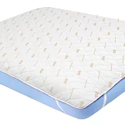 義大利La Belle《經典純色》防蹣抗菌平面式保潔墊--單人