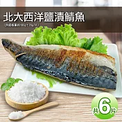 【優鮮配】油質豐厚挪威薄鹽鯖魚6片免運組(180g片)