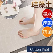 棉花田【雪屋】日本超人氣珪藻土吸水抗菌浴墊(39x60cm)