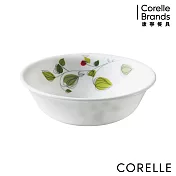 【美國康寧 CORELLE】綠野微風500ml湯碗 (418)