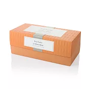 Tea Forte 20入金字塔型絲質茶包 - 柑橘薄荷茶 Ribbon Box - Citrus Mint