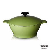 富蘭鍋 RADFORD經典琺瑯鑄鐵鍋 21公分橄欖綠
