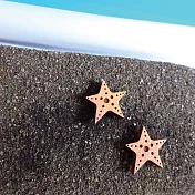 Woops 木頭手作耳環KUSO芭達雅-海星星
