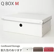 Peachy Life 日系硬式附蓋收納盒/整理箱/置物箱-M-(3色可選)白