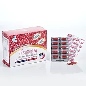 【普羅拜爾x普羅天然】益菌美莓(60顆/盒) 膠囊食品