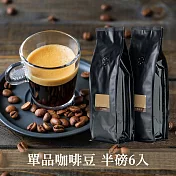 【大隱珈琲】自慢系列 單品咖啡豆 - 半磅裝6入