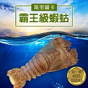 【優鮮配】斯里蘭卡巨無霸蝦蛄(約400g/隻)