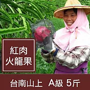 【一籃子】慈心驗證台南山上【紅肉火龍果】A級5斤