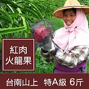 【一籃子】慈心驗證台南山上【紅肉火龍果】特A級6斤