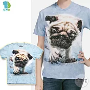【摩達客】美國進口The Mountain 水中巴哥犬 純棉環保短袖T恤 青少年版S號