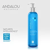 【ANDALOU安德魯】康普茶酵素洗面凝膠 178ml