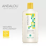 【ANDALOU安德魯】柑橘葵花亮麗護髮乳 340ml