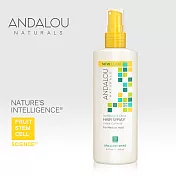 【ANDALOU安德魯】柑橘葵花定型噴霧 242ml