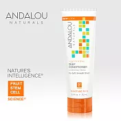 【ANDALOU安德魯】甜橙堅果深層護髮乳 172ml